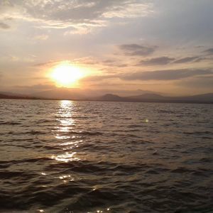 Meet your Posher, Neidy